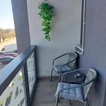 Apartamento Garsoniera Carmina *