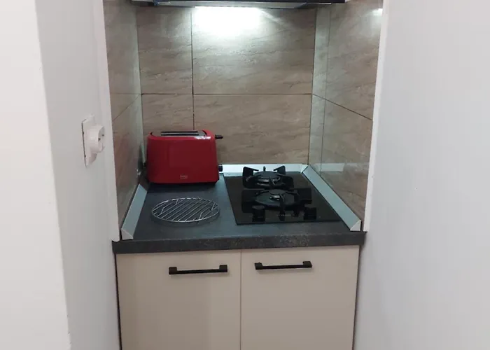 Garsoniera Carmina דירה